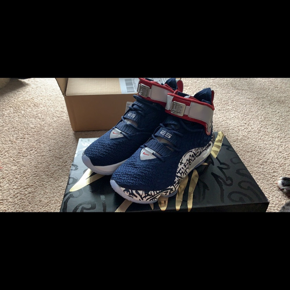 Lebron 17s